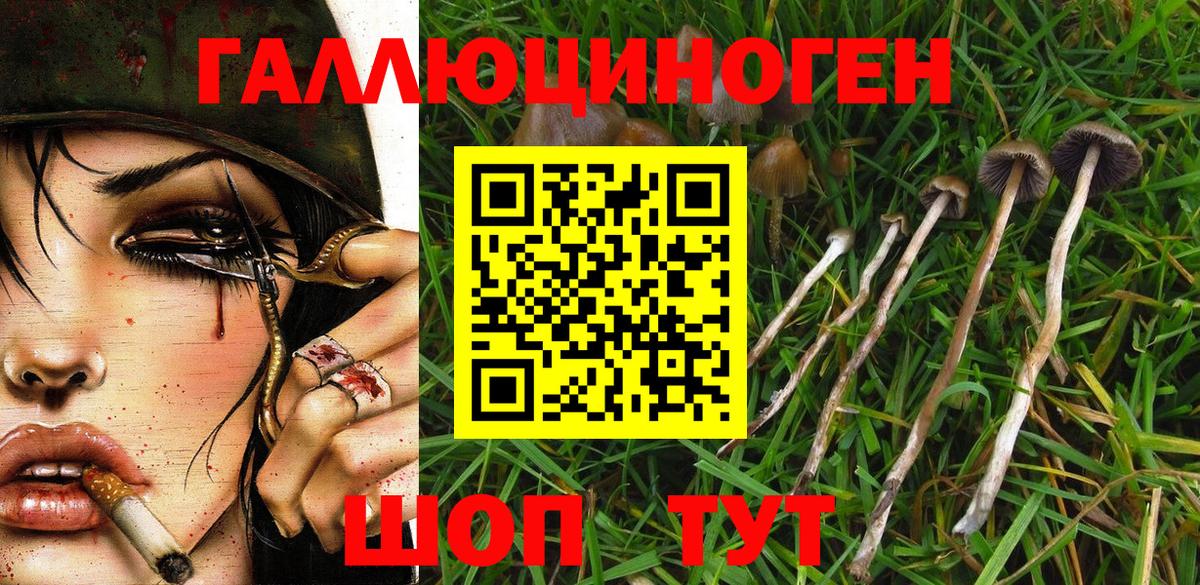 Партизанск  купить наркотики цена  Вход с VPN  Псилоцибиновые грибы Magic Shrooms 
